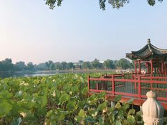 -后海公园