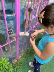 -萌宠亲子动物乐园(槐房万达店)