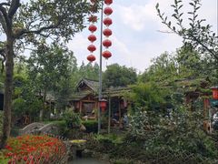 -青城甲(青城山店)