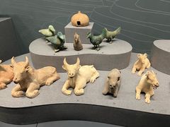 -广西壮族自治区博物馆