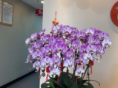 -土豆口腔(凤凰北总店)