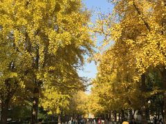 -北京化工大学(东校区)