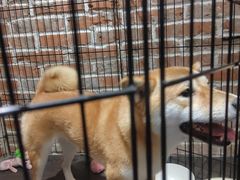 -呼吸沉浸式剧场(甘露园店)