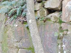 -苏州上方山国家森林公园