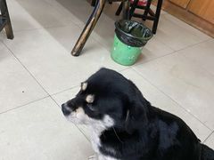 -好运来农家菜(吉林路店)