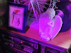 -AZUL by FUEL蓝色·法式酒馆(琶醍店)