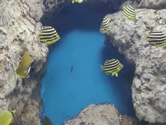 -福州罗源湾海洋世界旅游区