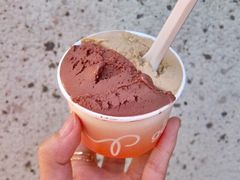 -Dip in Gelato(富民路店)