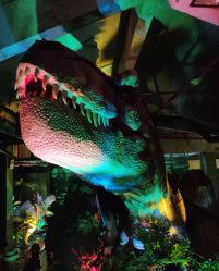 -恐龙探索乐园(磁器口店)