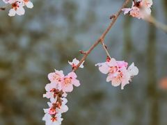 -达活泉公园