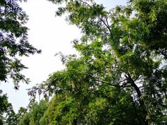 -重庆彩云湖湿地公园