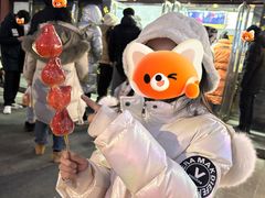 -糖葫芦王保定名吃(古莲花池店)