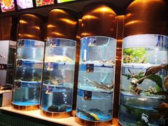 -香坝坝鲜鱼火锅(春熙路店)