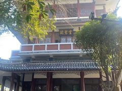 -云碧峰国家森林公园