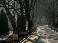 -棒棰岛宾馆景区