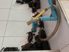 -芭提雅Amporn Seafood自助餐厅