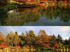 -四明山国家森林公园