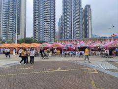 -澳门环岛游湾仔码头