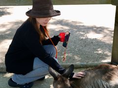 -费瑟代尔野生动物园