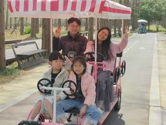 -黄海国家森林公园