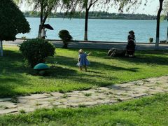 -丁香湖公园
