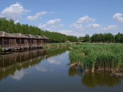 -白渔泡湿地公园