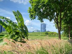 -光明小镇欢乐田园