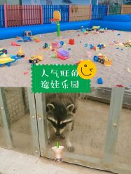 -萌宠亲子动物乐园(槐房万达店)