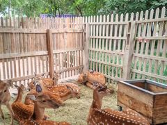 -水上乐园·欢乐世界