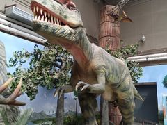 -国家自然博物馆