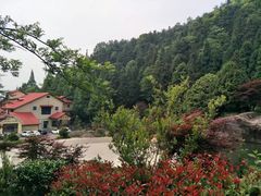-大围山国家森林公园