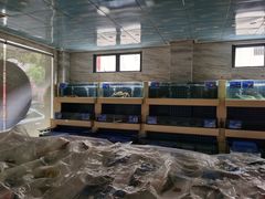 -舜泉海鲜(百官店)