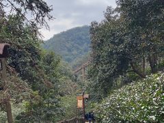 -古龙峡漂流