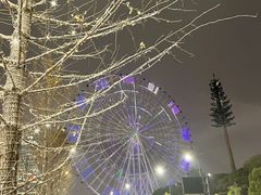 -南昌之星摩天轮