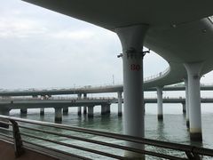 -演武大桥观景平台