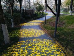 -宁波儿童公园(鄞州区)