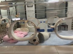 -星巴克(秦皇岛乐都汇店)