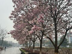 -南京信息职业技术学院