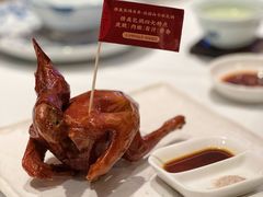 -侨美食家·41年地道粤菜(珠江新城店)