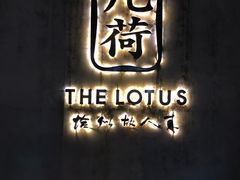 -几荷·恰似故人来(秀水广场店)