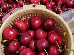 -Olé精品超市(重庆观音桥店)