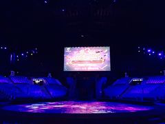 -珠海横琴长隆《卡卡虎奇遇记》