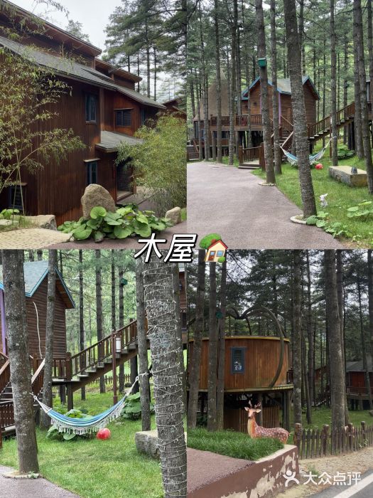 洛阳白云山景区图片