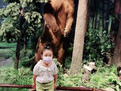 -陕西自然博物馆