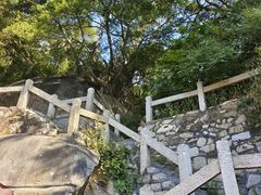 -草庵摩尼教遗址公园