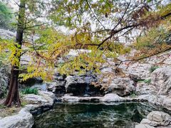 -北京西山国家森林公园