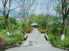 -四川农业大学(雅安校区)