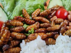 -品德宏·孔雀宴的发源地(金塔园店)