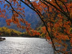 -叠溪松坪沟景区