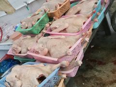 -三哥醉鹅(旧寨店)